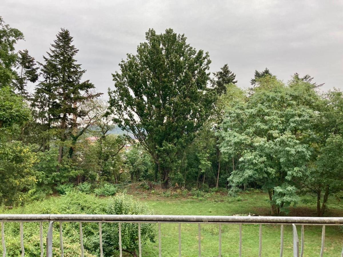 Villa Schomberg Spremberg Extérieur photo